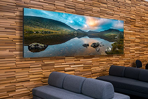 Sample of a waiting room with wall art.